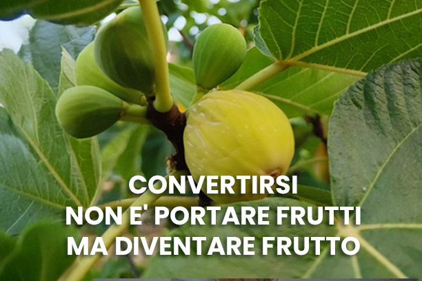LA PAROLA SI FA CARNE 23.03.25<br><i>Terza domenica di quaresima</i>