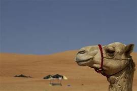 la parola si fa carne 14 dicembre 2025