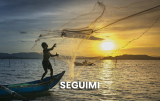 la-parola-si-fa-carne-25-1-26