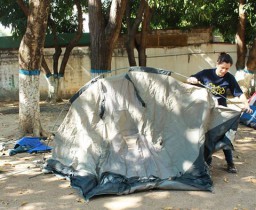 16997664 1503809689632273 4517846169055340749 n